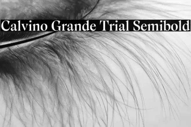 Calvino Grande Trial Semibold Font examples