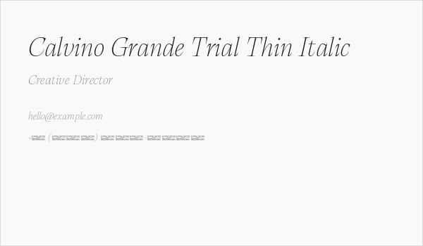 Calvino Grande Trial Thin Italic Business Card