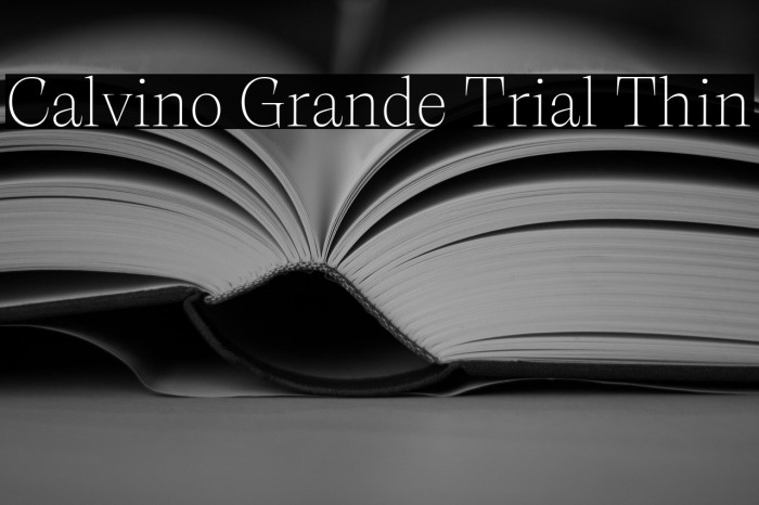 Calvino Grande Trial Thin Example 1