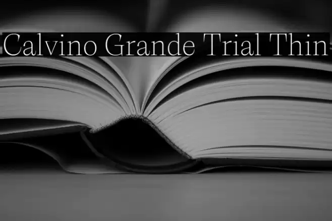 Calvino Grande Trial Thin Font examples