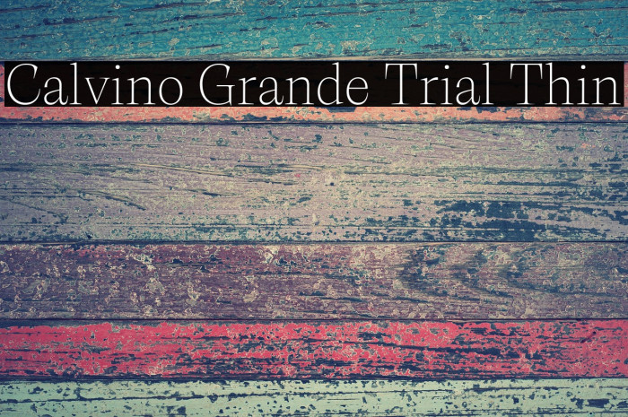 Calvino Grande Trial Thin Example 2