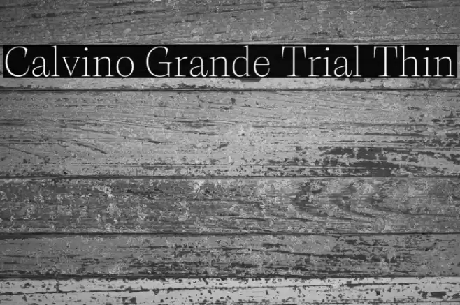 Calvino Grande Trial Thin Font examples