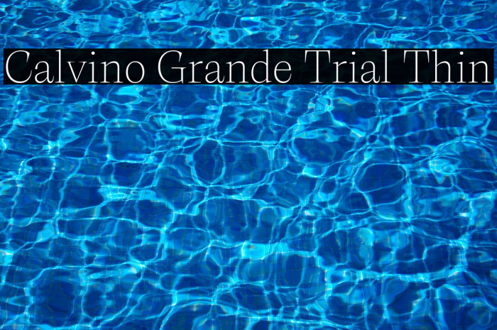 Calvino Grande Trial Thin Example 3
