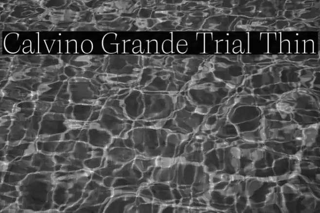 Calvino Grande Trial Thin Font examples