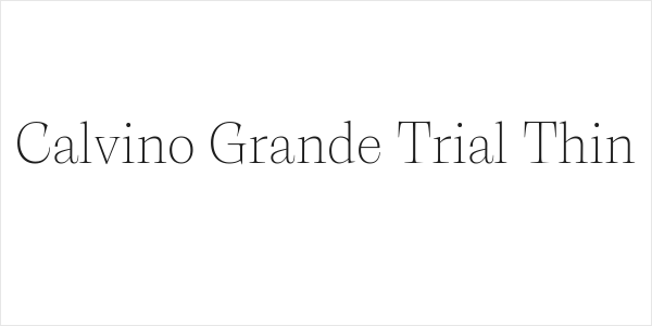 Calvino Grande Trial Thin Logo