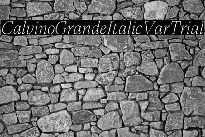 CalvinoGrandeItalicVarTrial Font examples