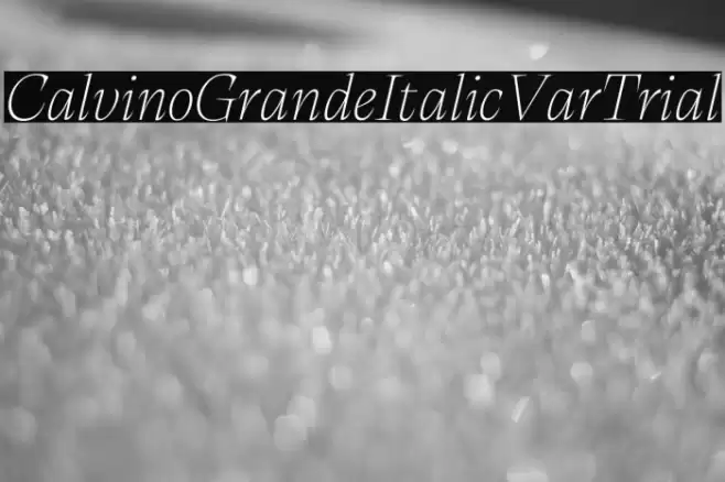 CalvinoGrandeItalicVarTrial Font examples