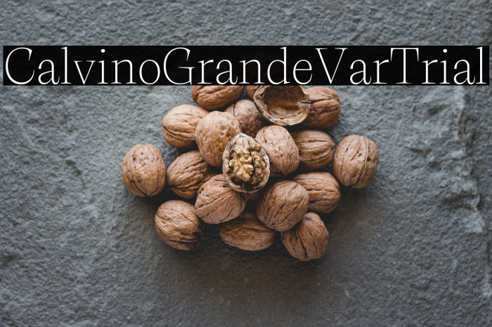 CalvinoGrandeVarTrial Example 1