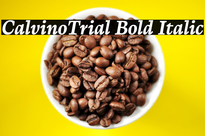 CalvinoTrial Bold Italic Example 1