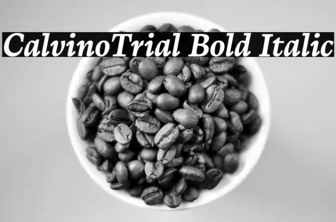 CalvinoTrial Bold Italic Font examples
