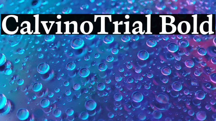 CalvinoTrial Bold Example 1