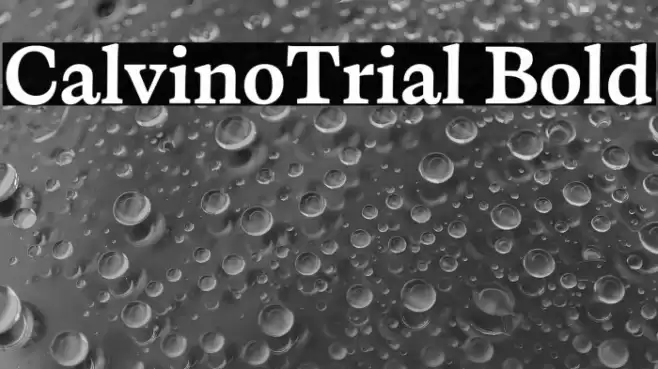 CalvinoTrial Bold Font examples