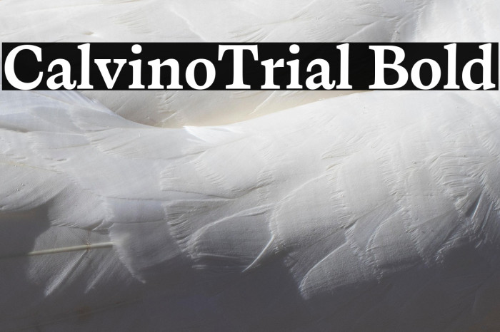 CalvinoTrial Bold Example 2