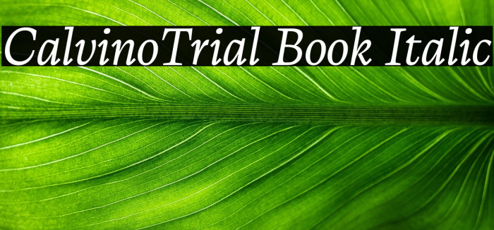 CalvinoTrial Book Italic Example 2