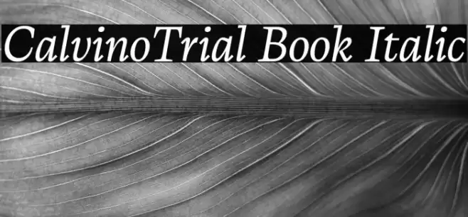 CalvinoTrial Book Italic Font examples