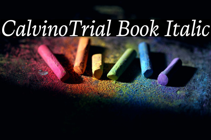 CalvinoTrial Book Italic Example 3