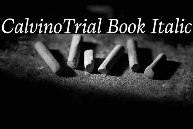 CalvinoTrial Book Italic Font examples