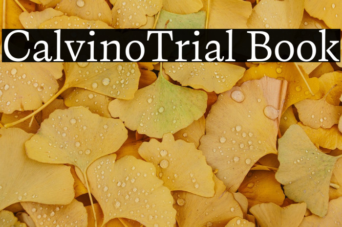 CalvinoTrial Book Example 2