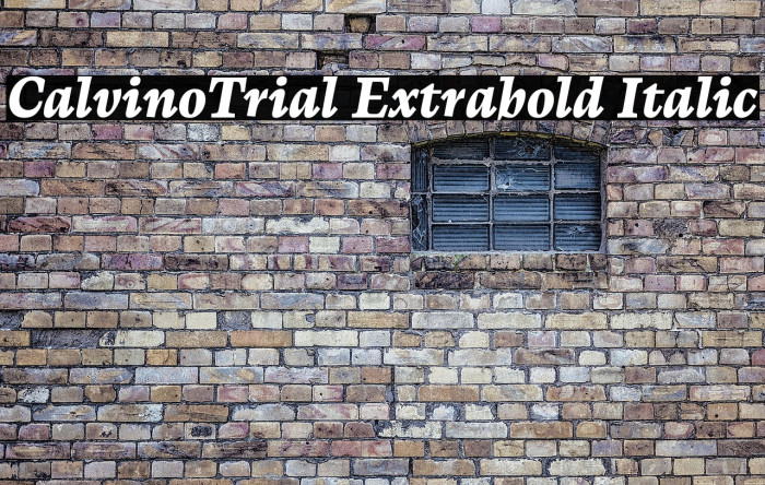CalvinoTrial Extrabold Italic Example 1