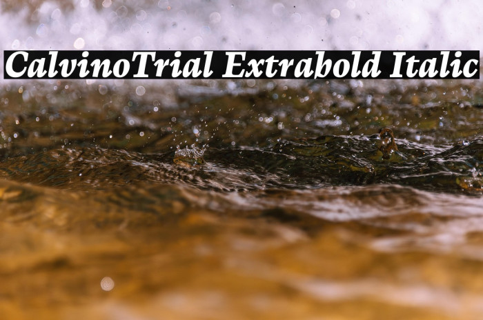 CalvinoTrial Extrabold Italic Example 2