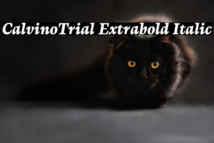CalvinoTrial Extrabold Italic Example 3