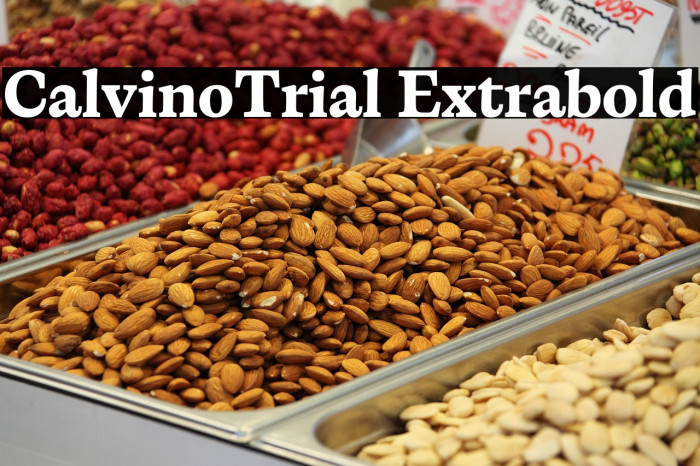 CalvinoTrial Extrabold Example 3