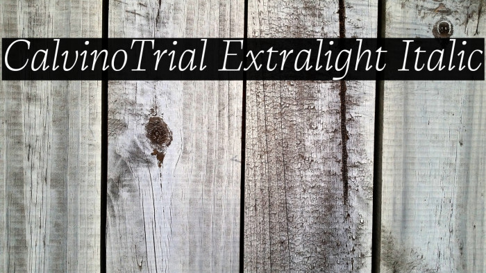 CalvinoTrial Extralight Italic Example 1