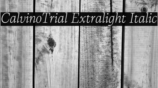 CalvinoTrial Extralight Italic Font examples