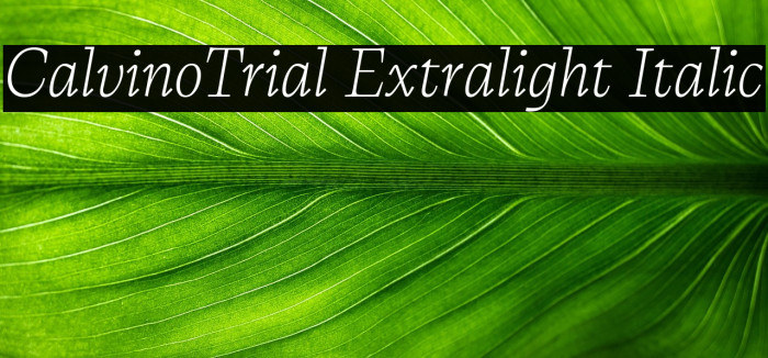 CalvinoTrial Extralight Italic Example 3