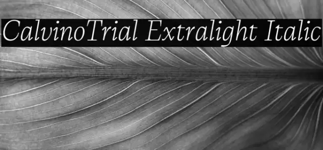 CalvinoTrial Extralight Italic Font examples