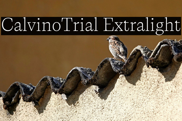 CalvinoTrial Extralight Example 1