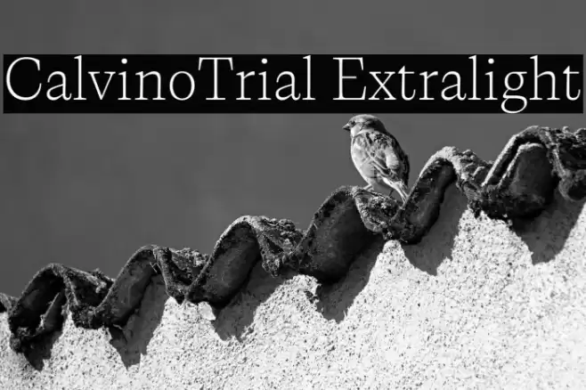 CalvinoTrial Extralight Font examples