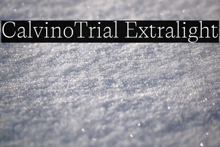 CalvinoTrial Extralight Example 3