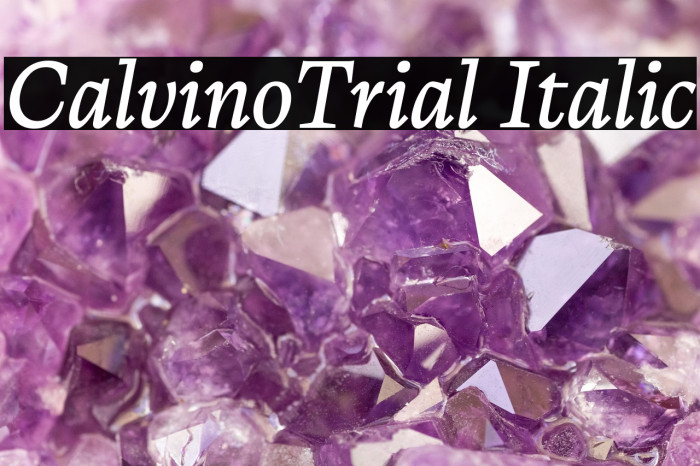 CalvinoTrial Italic Example 1