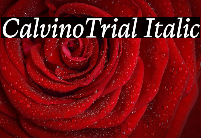 CalvinoTrial Italic Example 2