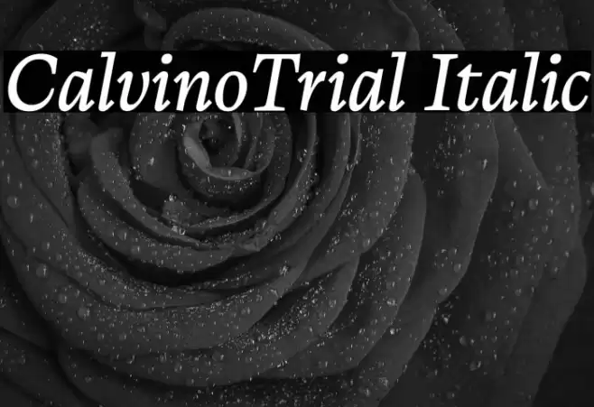 CalvinoTrial Italic Font examples
