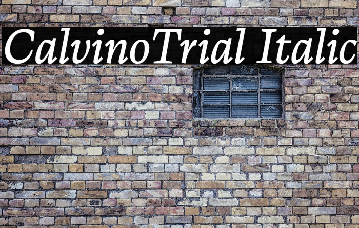 CalvinoTrial Italic Example 3