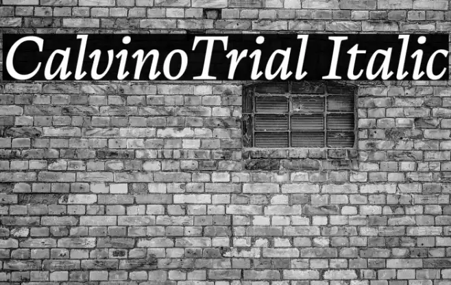 CalvinoTrial Italic Font examples