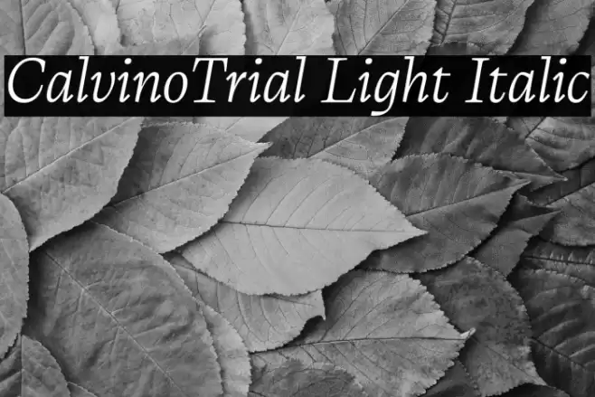 CalvinoTrial Light Italic Font examples