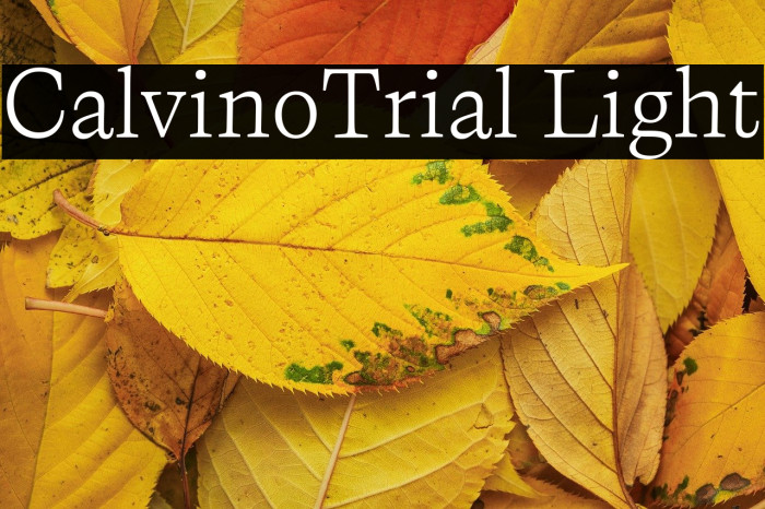 CalvinoTrial Light Example 2