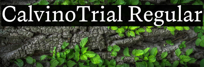 CalvinoTrial Regular Example 3