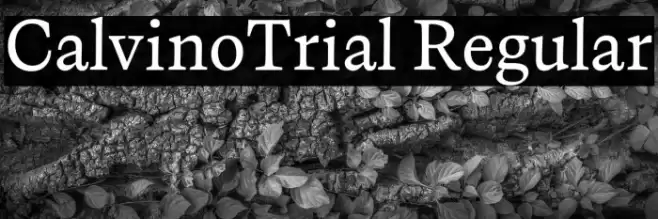 CalvinoTrial Regular Font examples