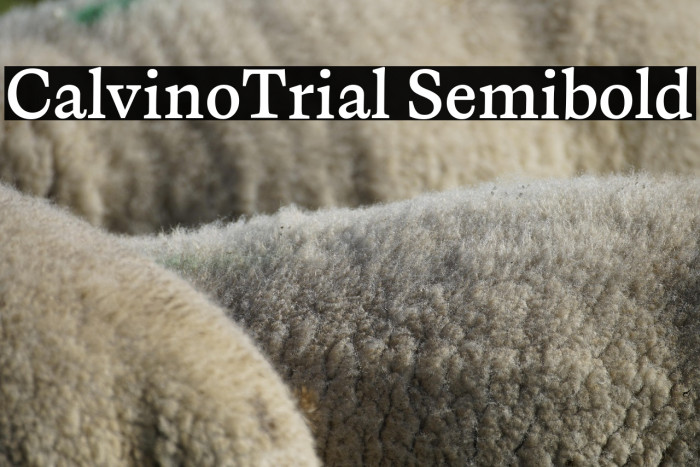 CalvinoTrial Semibold Example 1