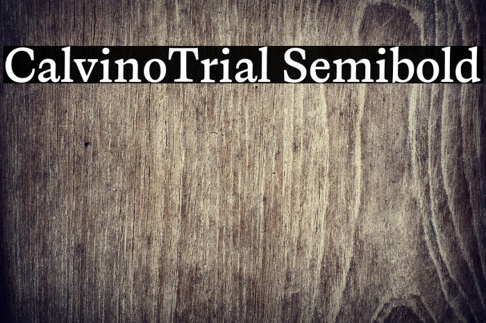 CalvinoTrial Semibold Example 2