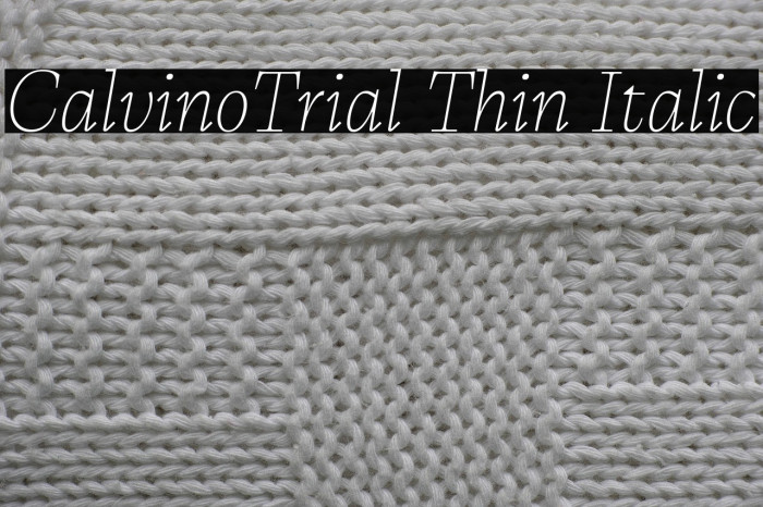 CalvinoTrial Thin Italic Example 2
