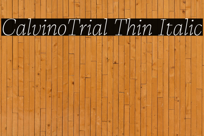 CalvinoTrial Thin Italic Example 3