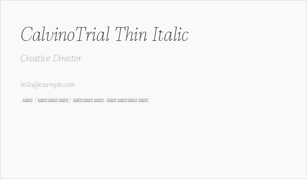 CalvinoTrial Thin Italic Business Card