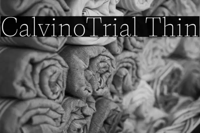 CalvinoTrial Thin Font examples