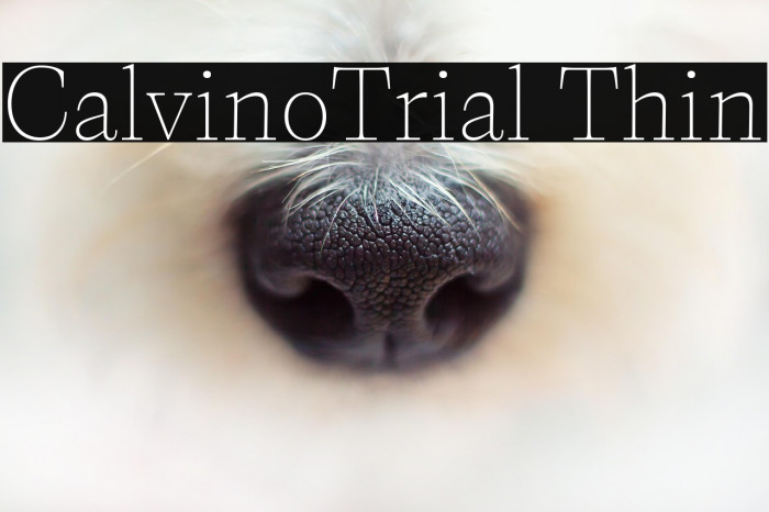 CalvinoTrial Thin Example 3