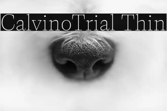 CalvinoTrial Thin Font examples